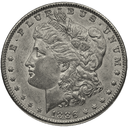 Morgan Silver Dollar XF (1878-1904)