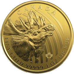 2019 1 oz Royal Canadian Mint Gold Moose