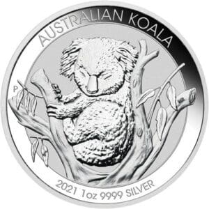 Australian Platinum Koala