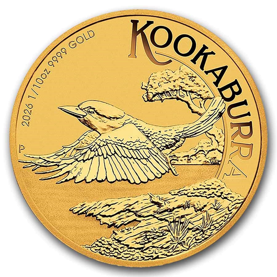 Gold Kookaburra